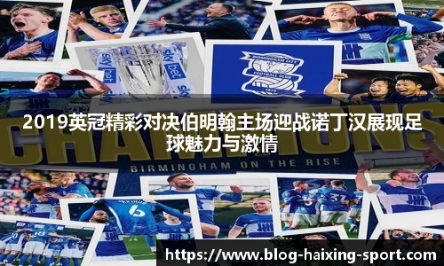 2019英冠精彩对决伯明翰主场迎战诺丁汉展现足球魅力与激情
